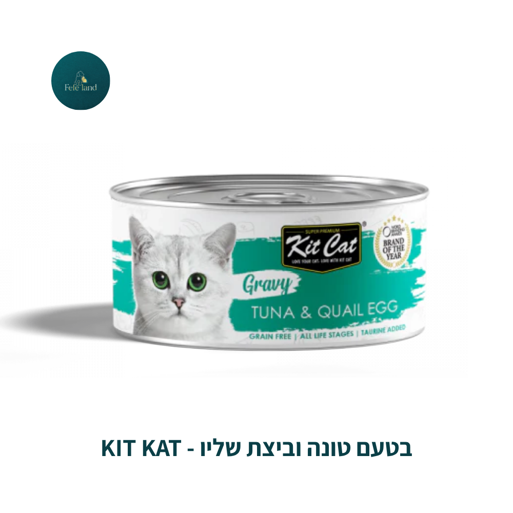 Kit Kat - קטקאט
