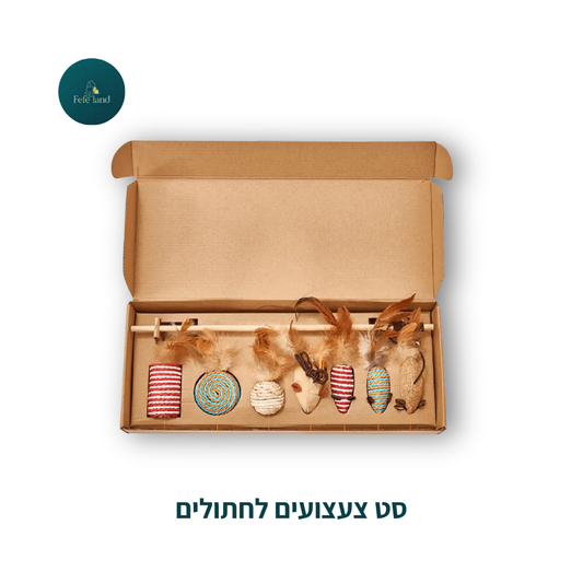 סט צעצועים לחתולים