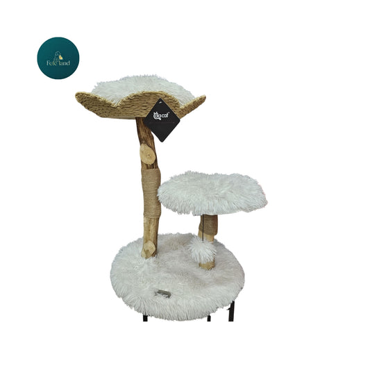 מתקן גירוד לחתולים