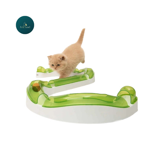 משחק חשיבה לחתול