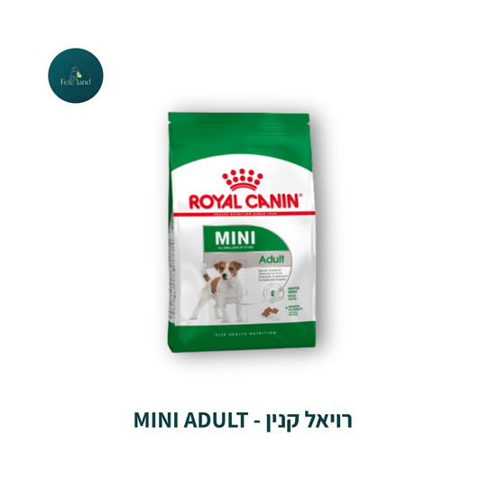 רויאל קנין - mini adult