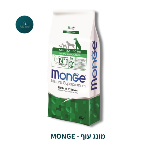 Monge - מונג כלבים
