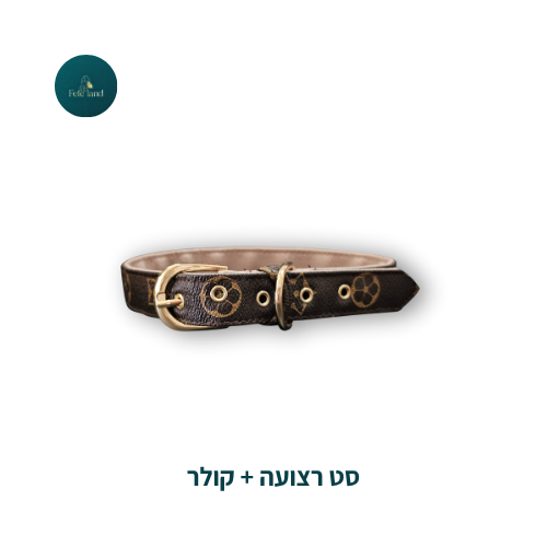 סט רצועה + קולר 1