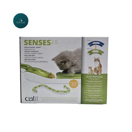 משחק חשיבה לחתול