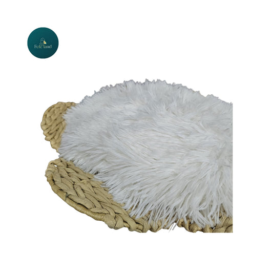 מתקן גירוד לחתולים