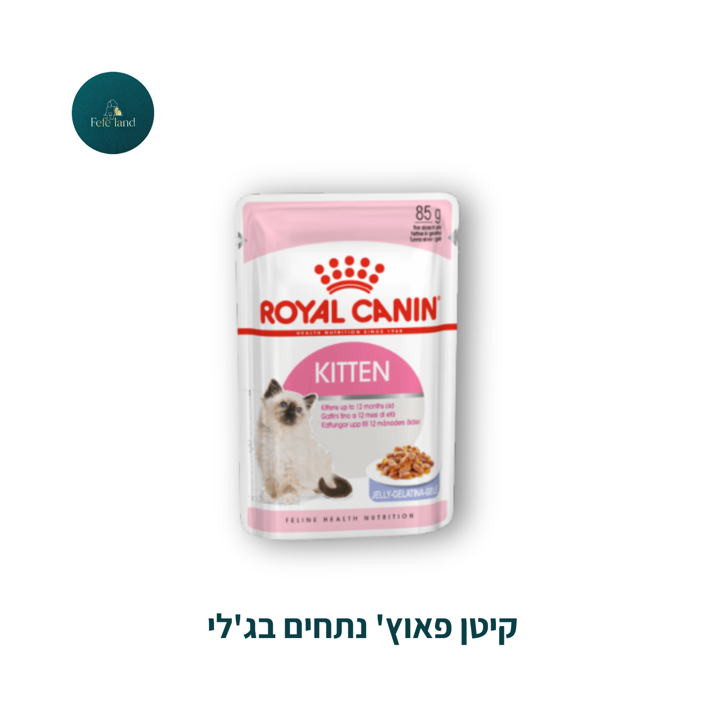 קיטן פאוץ' נתחים בג'לי
