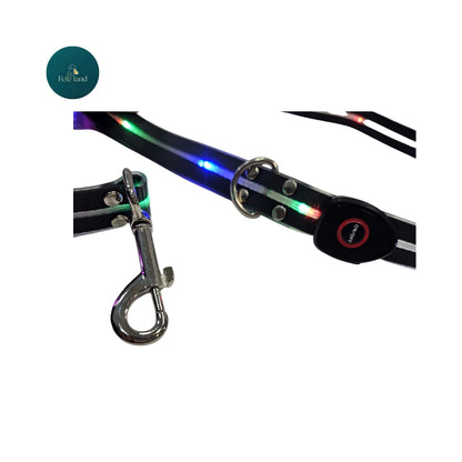 קולר לד לכלב