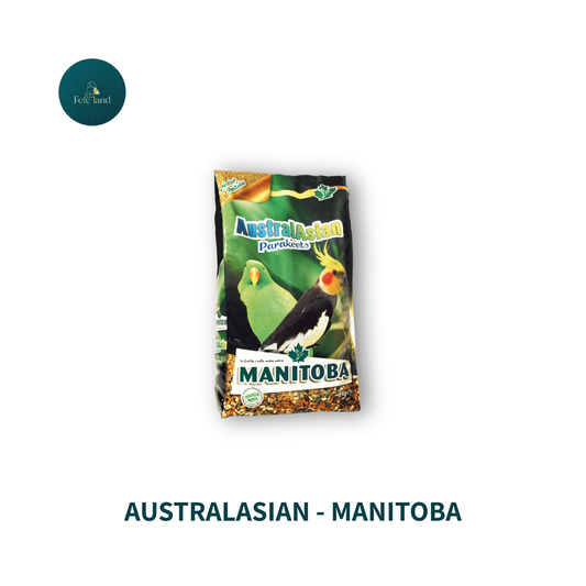 Australasian - Manitoba