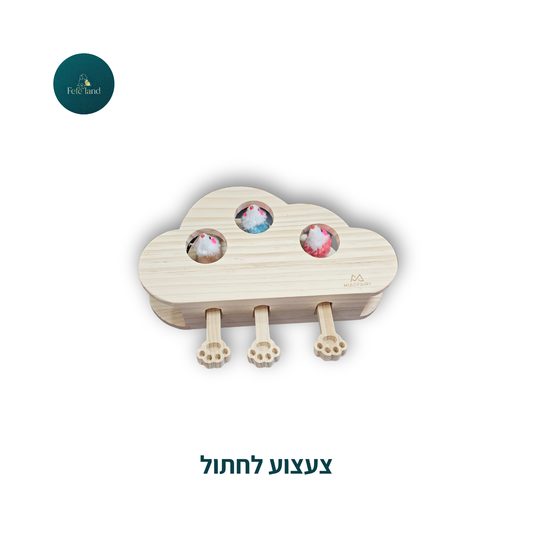 צעצוע לחתול