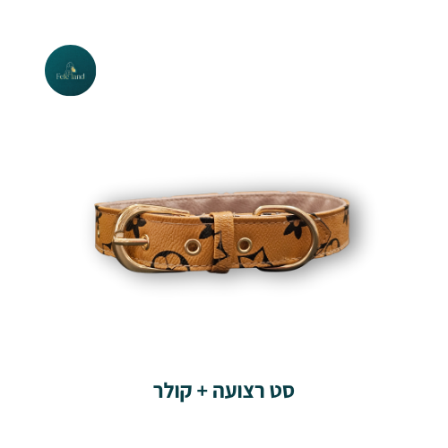 סט רצועה + קולר 3