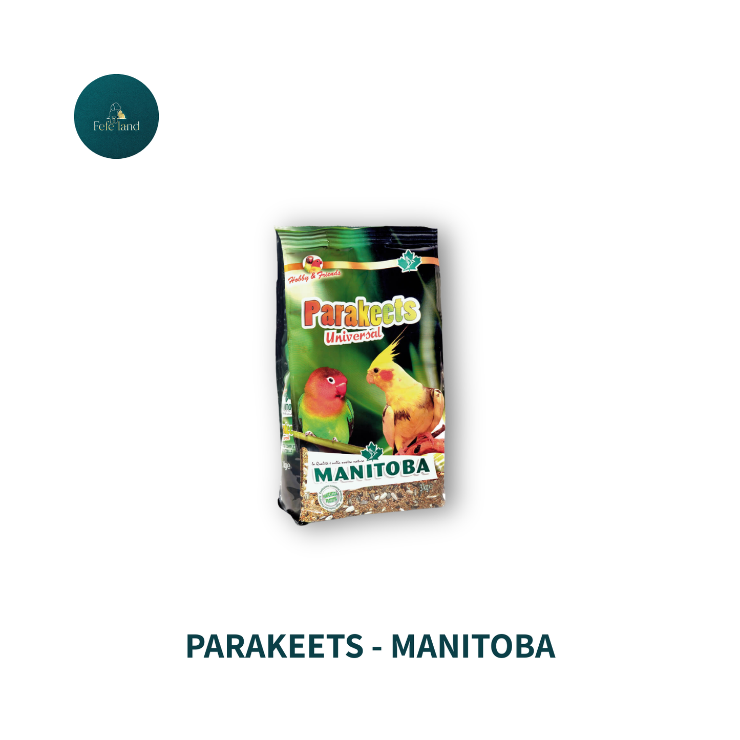 Parakeets - Manitoba
