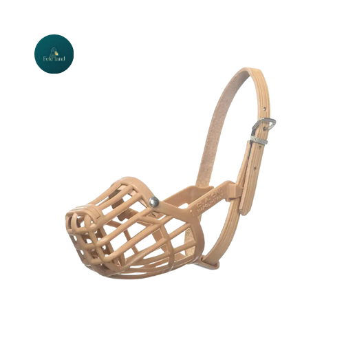 מחסום פלסטיק לכלב