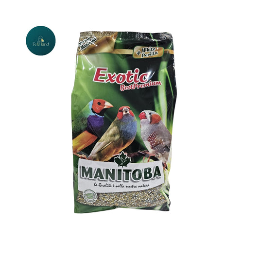 מניטובה מזון פרימיום לפינקים