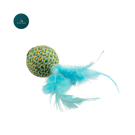 צעצוע לחתול