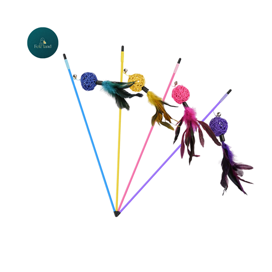 צעצוע לחתול