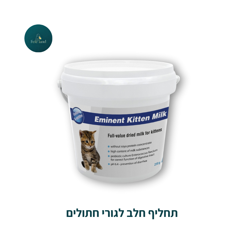 תחליף חלב לגורי חתולים